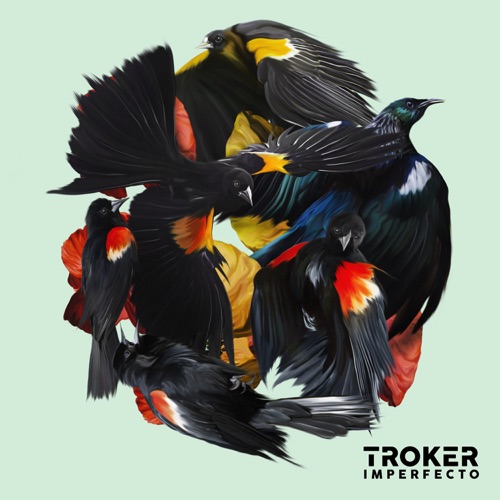 Album artwork of Troker – Imperfecto