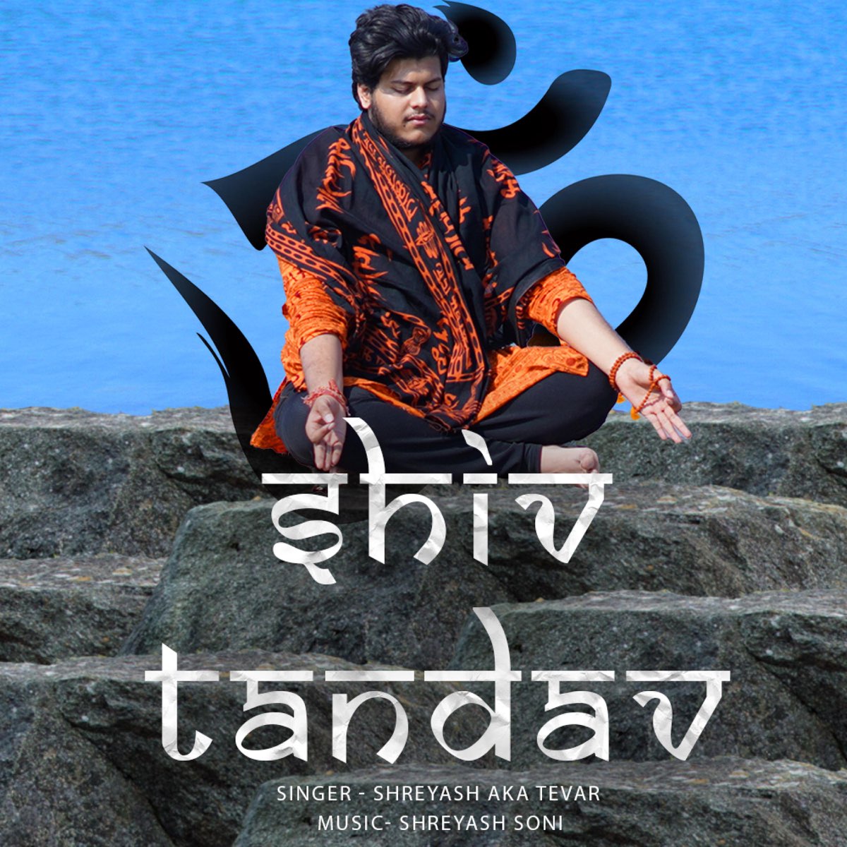 Tevar Shiv Tandav Stotram Single Apple Music