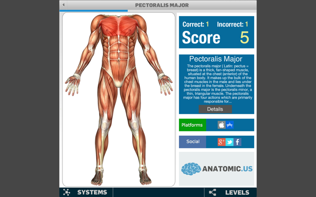 ‎Anatomy Game Anatomicus Screenshot