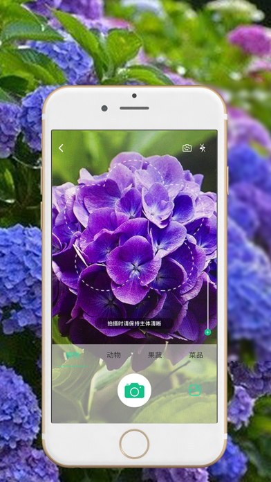 识物-动植物识别神器