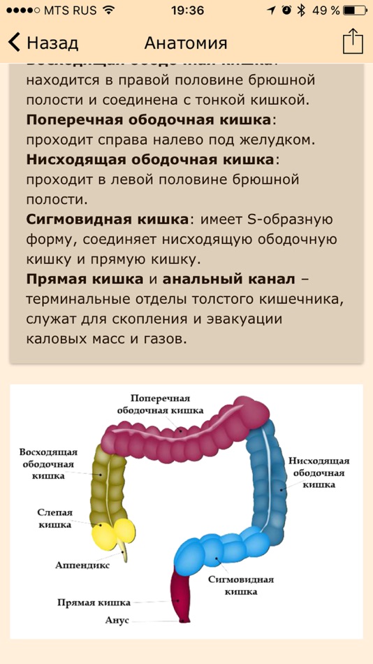 Диета При Раке Ободочной Кишки