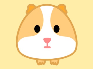 豚鼠表情