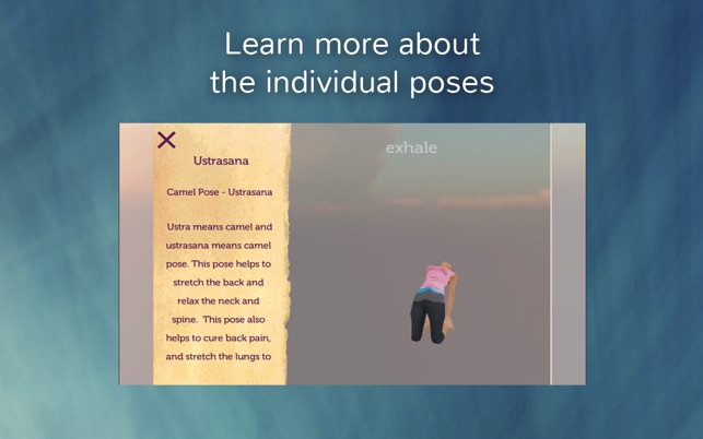 ‎Yoga for Back Pain Relief Screenshot
