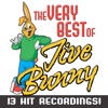 Jive Bunny & The Mastermixers - Crazy Party Mix: Crazy Party Theme, Oh Susannah, Yellow Rose Of Texas, William Tell Overture, Flight Of The Bumble Bee, Yankee Doodle, Scotland The Brave, When The Saints Go Marching In, Blue-Tailed F