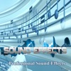 Professional Sound Effects Group - Ambience Wave