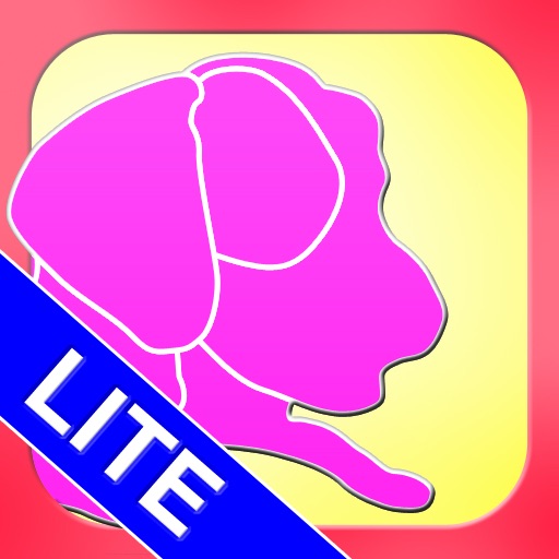 Whimsy Lite icon