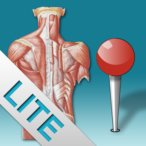 Netter Tronc LITE : Mémofiches Anatomie