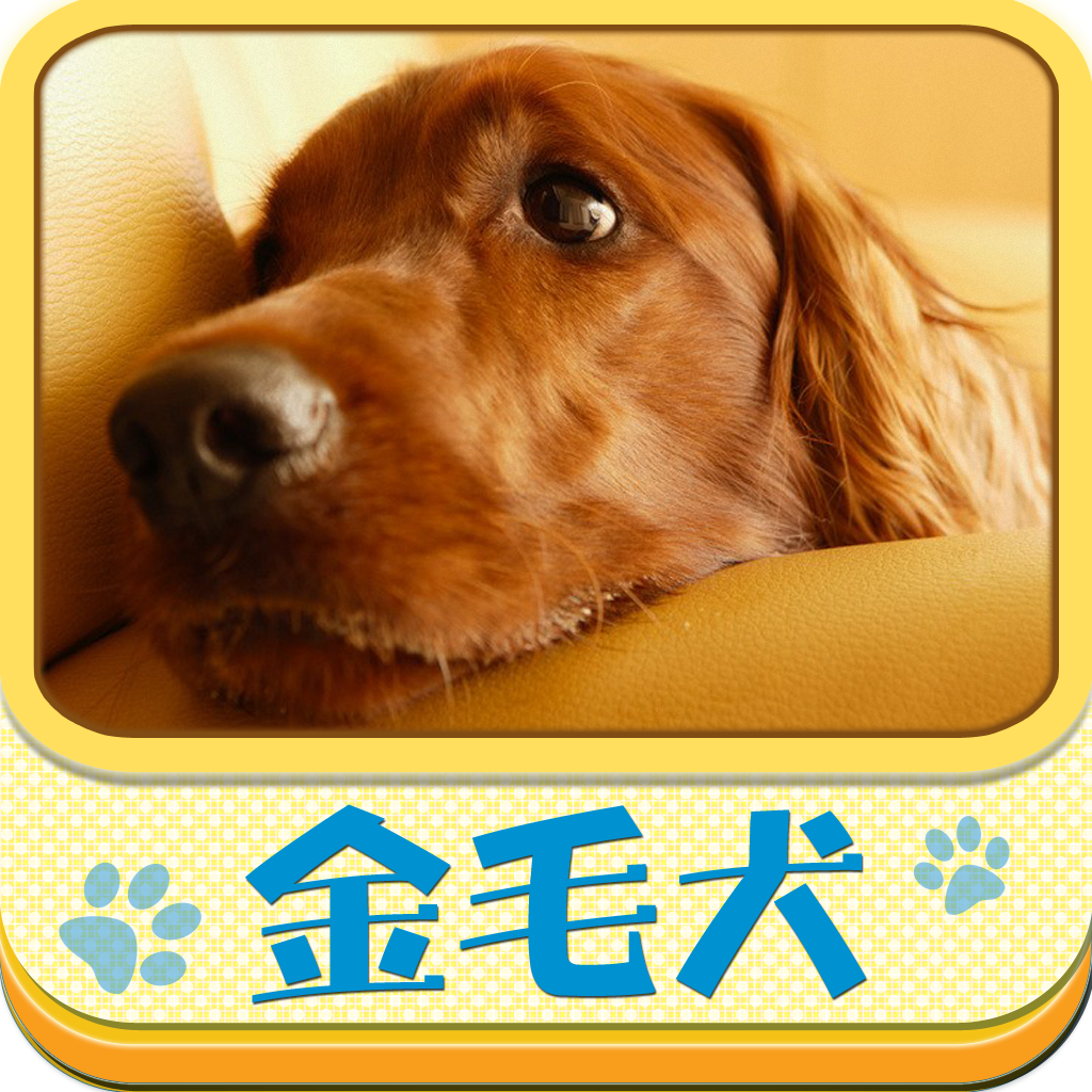 金毛犬-选购 、饲养、训练 、疾病、故事、常识大全 icon