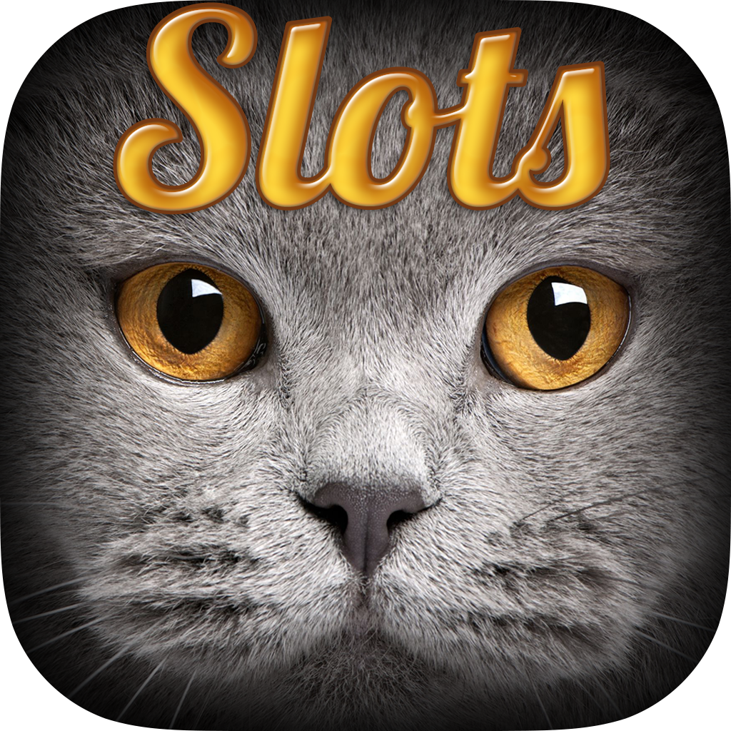 AAA Adventure of Cats and Pets Free Slots - Kitty Bonanza Casino Gold Slots icon