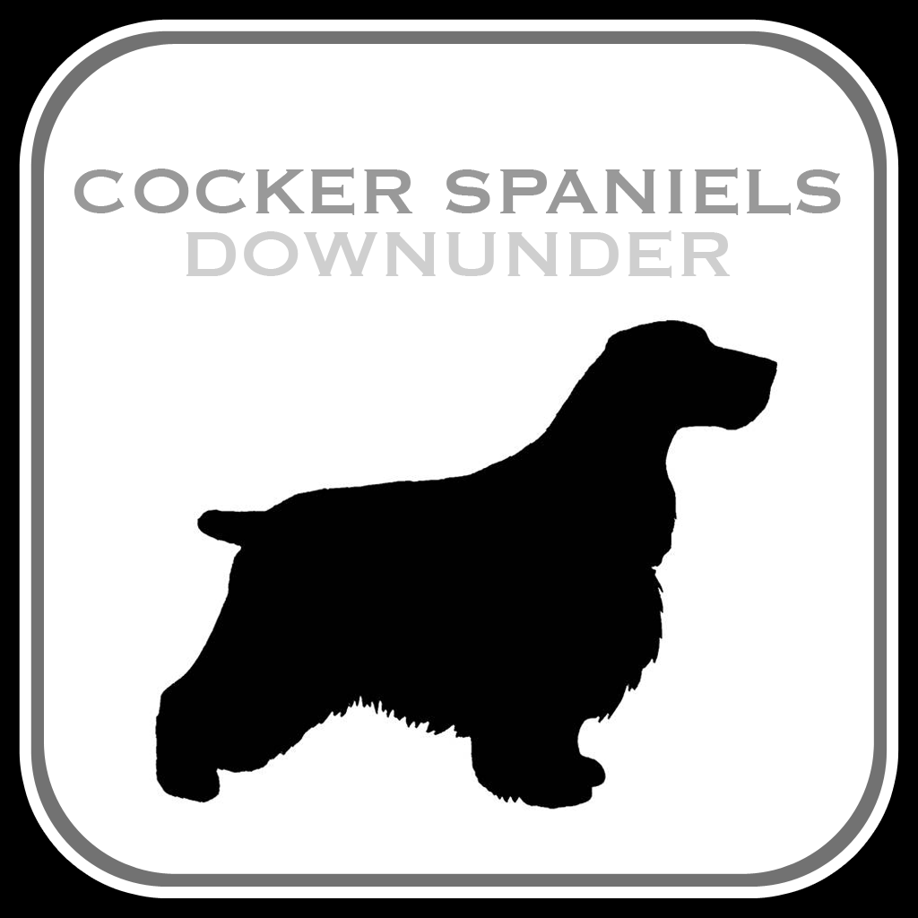 Cocker Spaniels Downunder