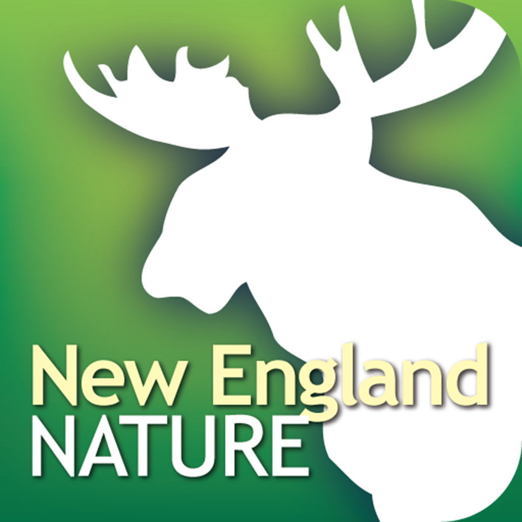 Audubon Nature New England – The Ultimate New England Nature Guide