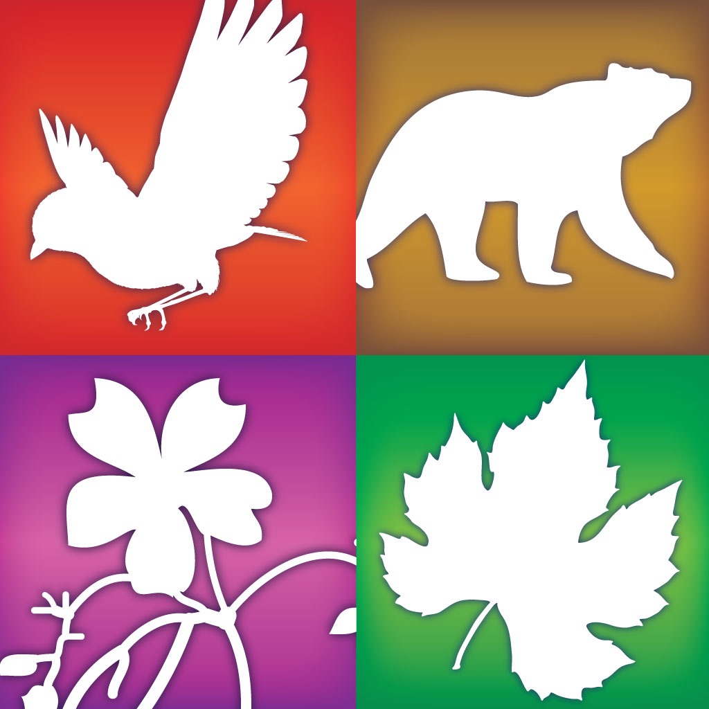 Audubon Guides Box Set - Birds, Tree, Wildflowers &  Mammals icon
