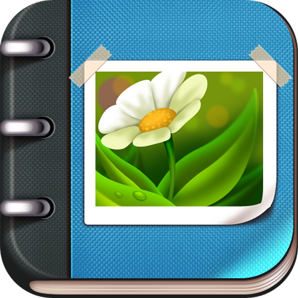 Albums: Photo, Video Manager icon