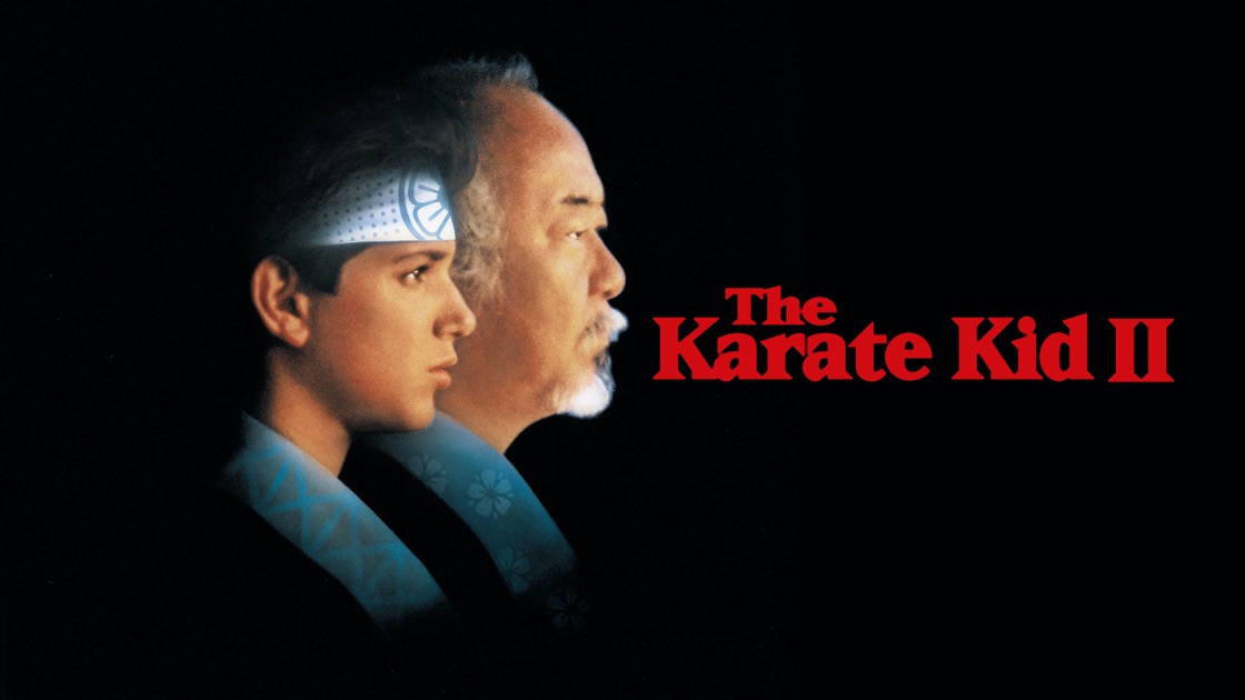 the karate kid netflix series