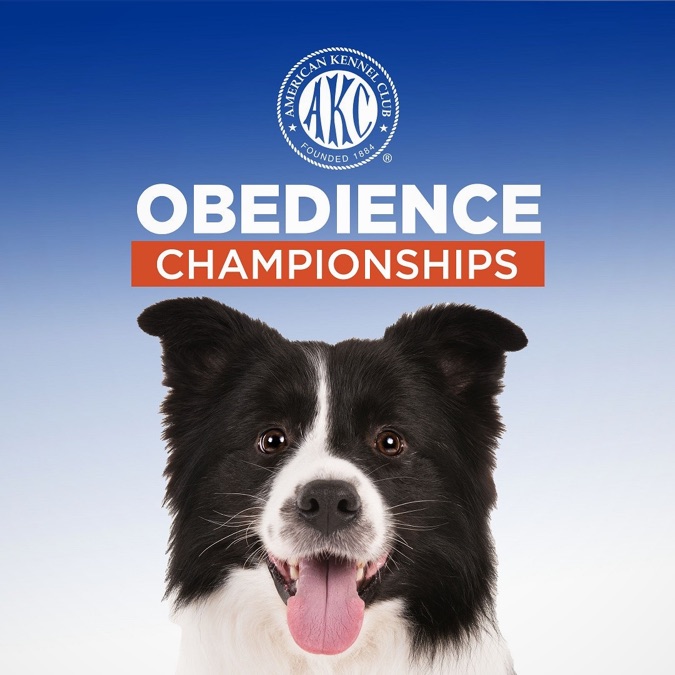 2019 AKC National Obedience Championships Apple TV