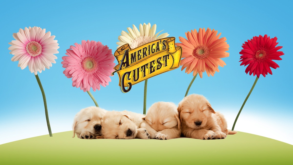 america-s-cutest-pets-apple-tv