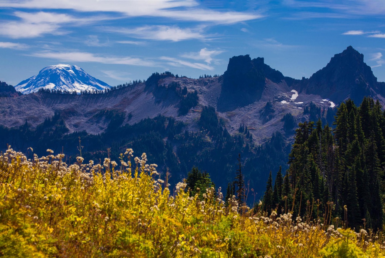 Mount Rainier National Park - Discover Lewis County