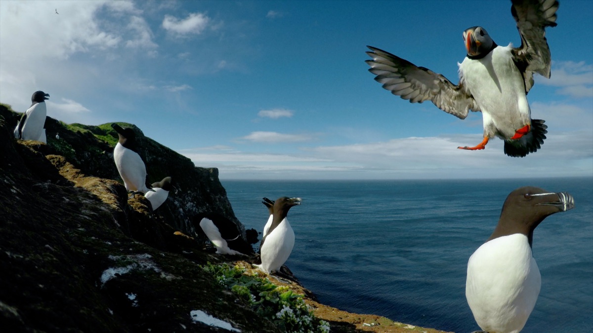 Magical Iceland Apple TV