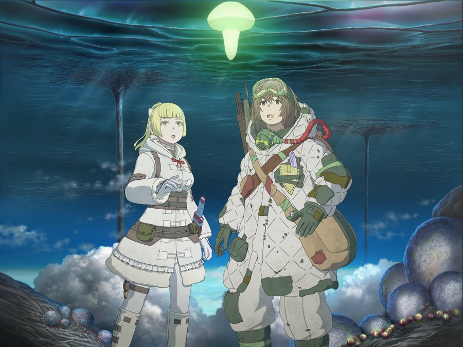 ネオカイナのリーフレット