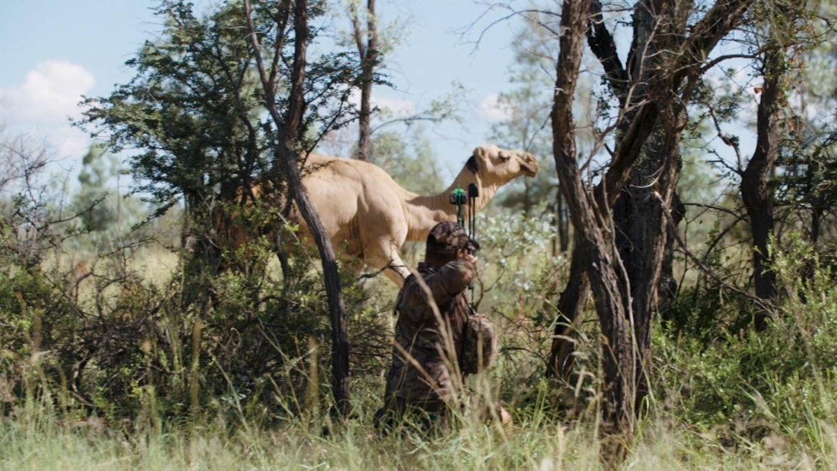 Deadly Outback - Man Eats Wild (Season 1, Episode 2) - Apple TV