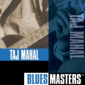 Blues Masters: Taj Mahal artwork