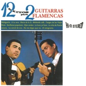 12 Éxitos para Dos Guitarras Flamencas (Instrumental)