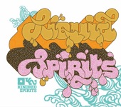 Liquid Spirits - Destiny