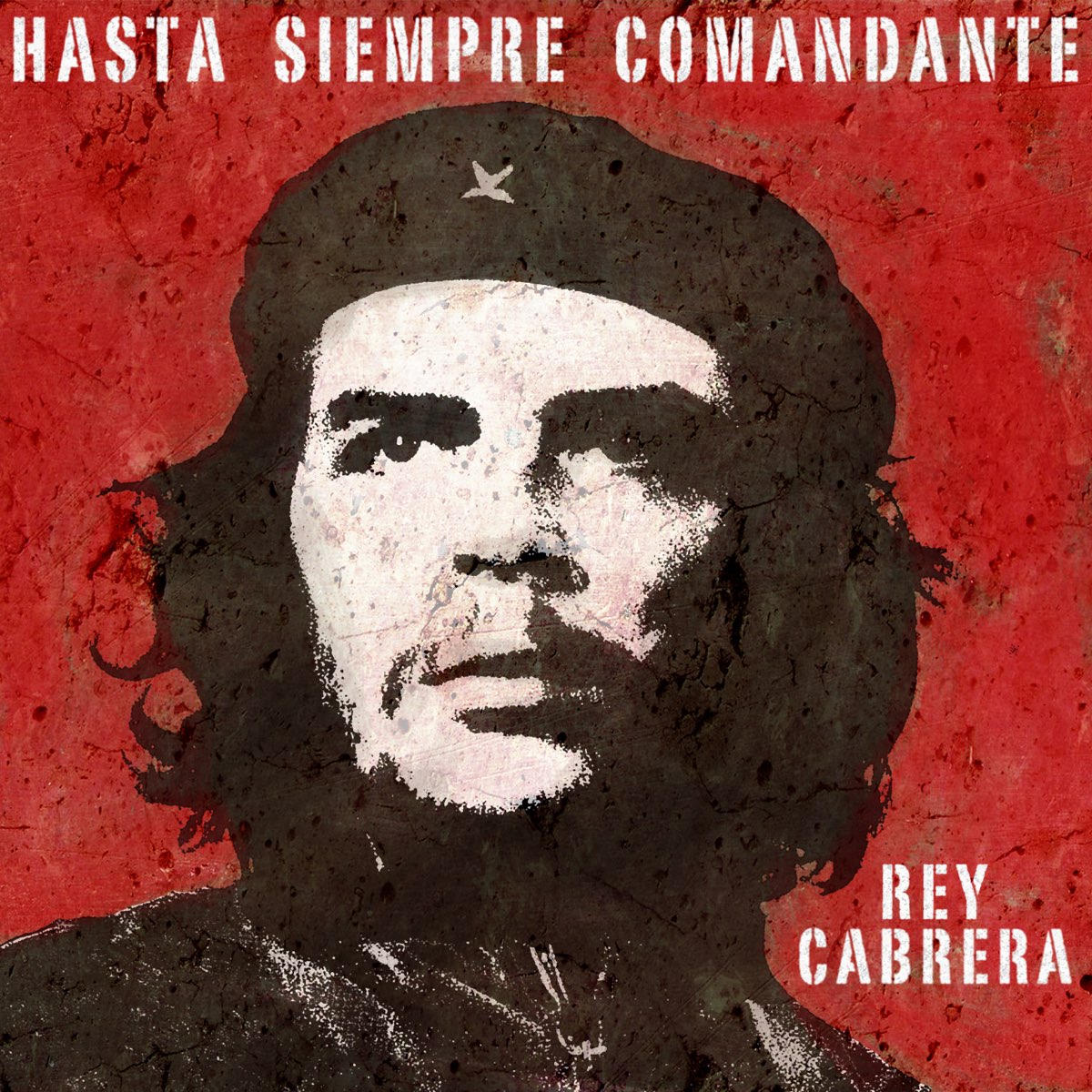 Hasta siempre comandante che