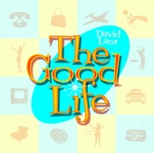 DAVID LANZ - THE GOOD LIFE