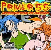 Introduction to Mayhem