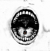 Sous Substances - Single