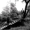Timber Timbre - No Bold Villain