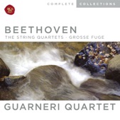 String Quartet in D, Op. 18, No. 3: II. Andante Con Moto artwork