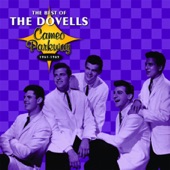 The Dovells - Bristol Stomp