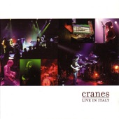 Cranes - Paris And Rome