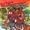 Dan Hicks & His Hot Licks - The Euphonius Whale