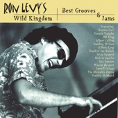 Ron Levy - Prayin The Blues w/ Gray Sargent
