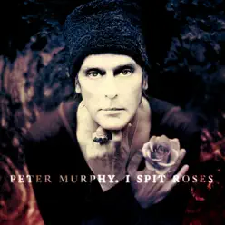I Spit Roses - Single - Peter Murphy