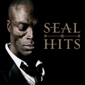 Seal: Hits artwork