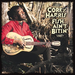 Corey Harris - Preaching Blues