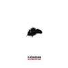 Kasabian - Days Are Forgotten (feat. LL Cool J) [Z-Trip Remix]