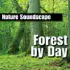 Stream & download Forest By Day (Nature Sounds Only)