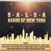 Salsa Bands of New York, 2007