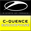 Endorphine (Hydroid's Breaking the Law Mix) - Single