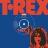 T. Rex - Metal Guru
