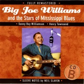 Big Joe Williams and the Stars of Mississippi Blues (B) artwork