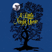 A Little Night Music (Original Broadway Cast Recording) - Stephen Sondheim
