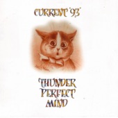 Thunder Perfect Mind artwork