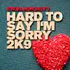 Hard to Say I'm Sorry 2K9 - EP album lyrics, reviews, download