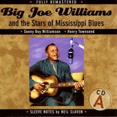 Big Joe Williams and the Stars of Mississippi Blues (A) artwork